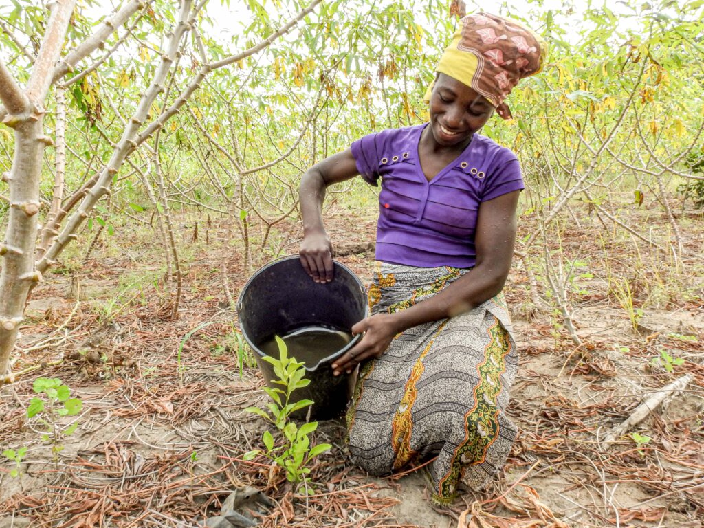 Better environment by planting trees in Mozambique