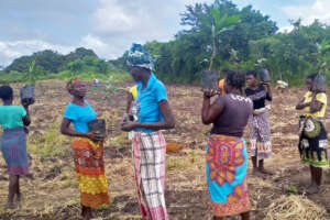 Association Kupedza Ulombo