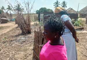 EP Mapangara - Protecao contra animais das arvores