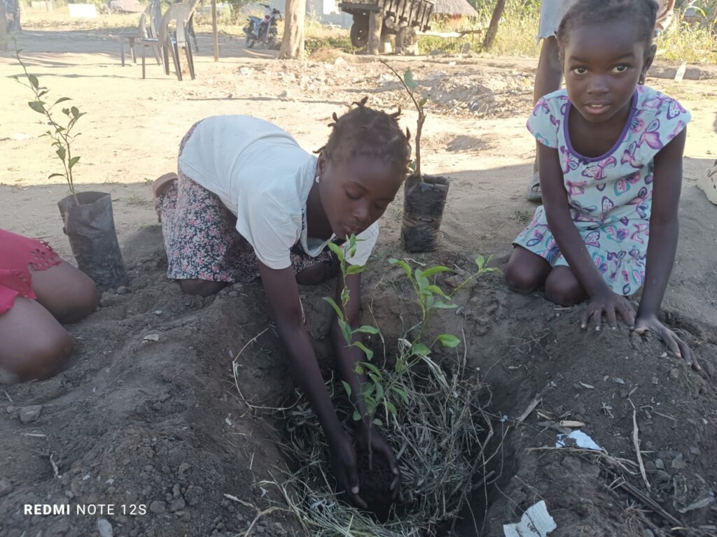 EP Mapangara - Plantio de Arvore