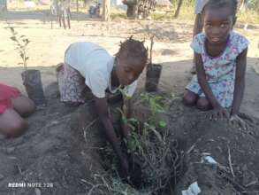 EP Mapangara - Plantio de Arvore