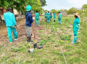 Students lining up to plant fruit trees