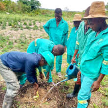 Students watering the planted trees