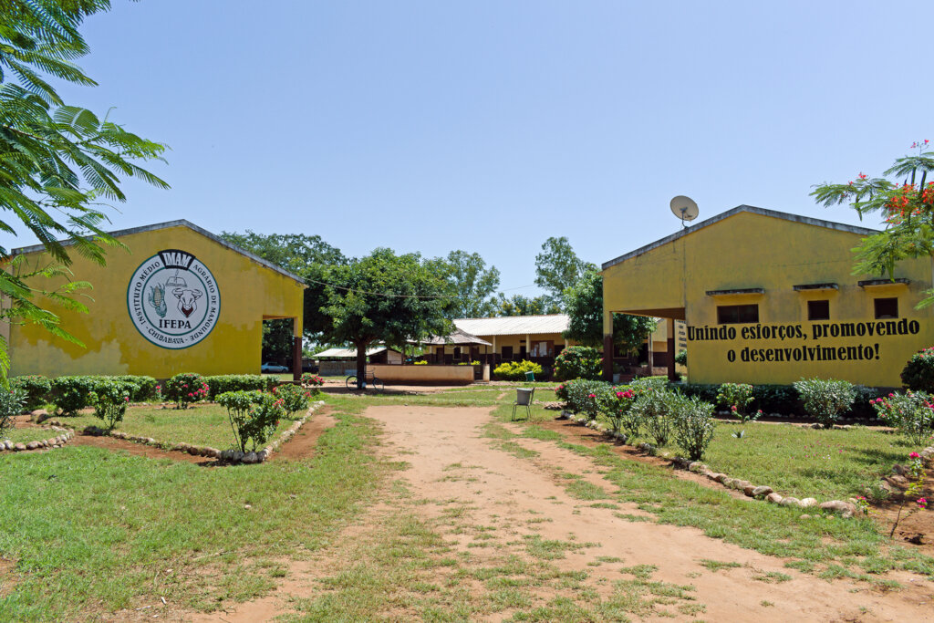 Better environment by planting trees in Mozambique