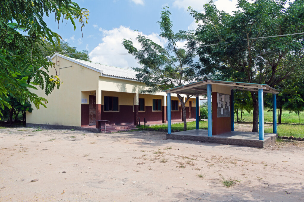 Better environment by planting trees in Mozambique