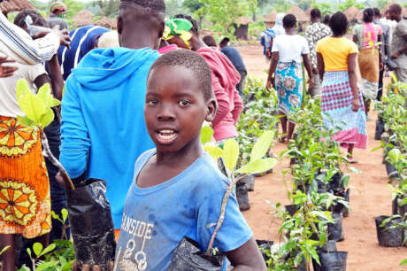 Better environment by planting trees in Mozambique
