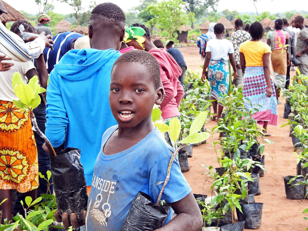 Better environment by planting trees in Mozambique