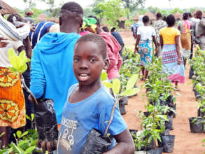 Better environment by planting trees in Mozambique