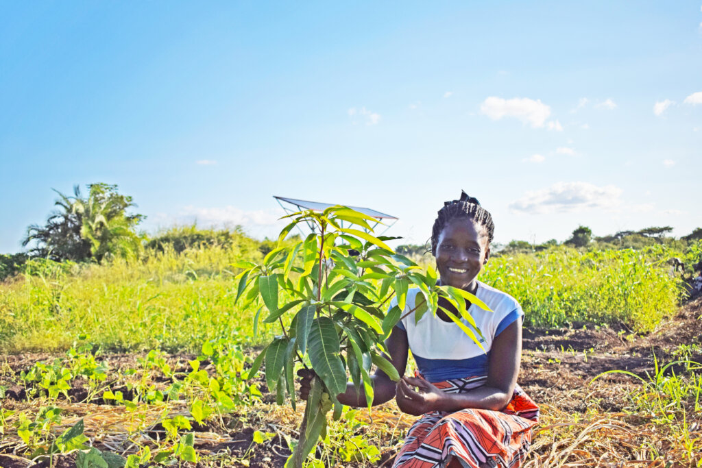 Better environment by planting trees in Mozambique