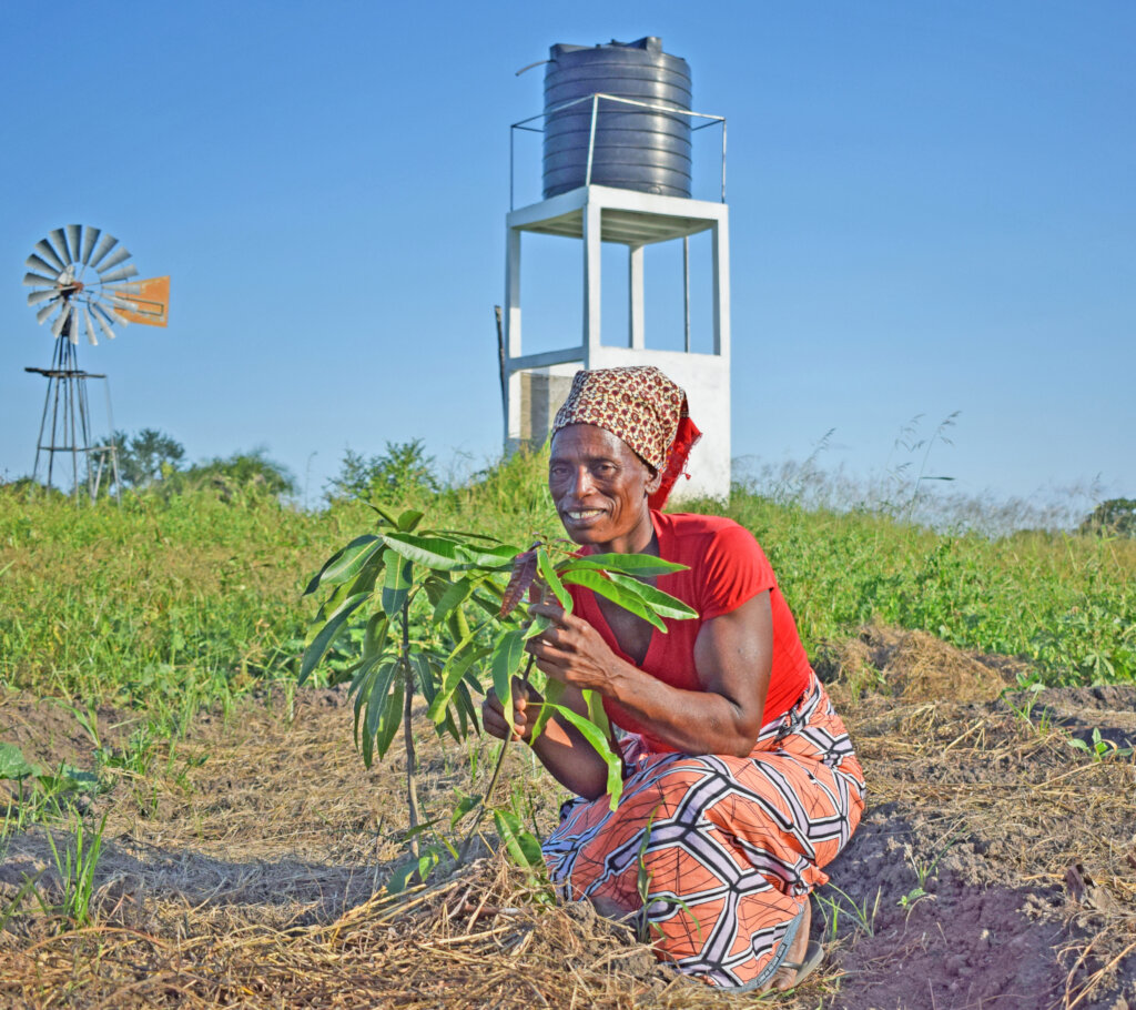 Better environment by planting trees in Mozambique