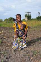 tree seedlings in the community