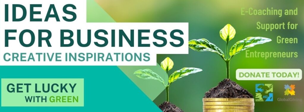 African Women Green Innovation Enterprise Developm