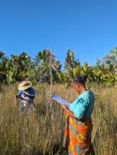 Two mahampy members taking reed measurements