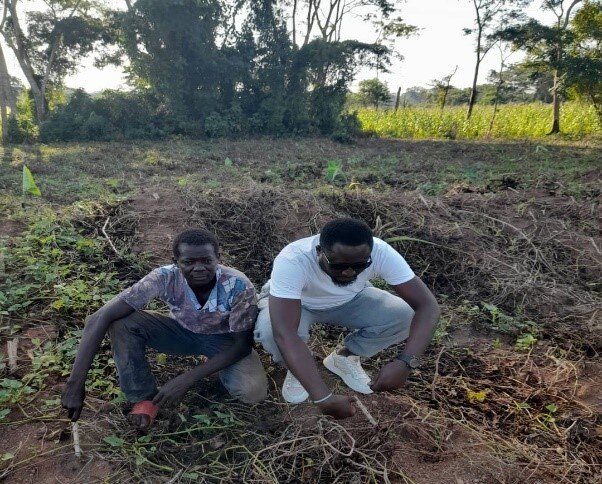 Agri-Business as Income bolster For IDPs Cameroon