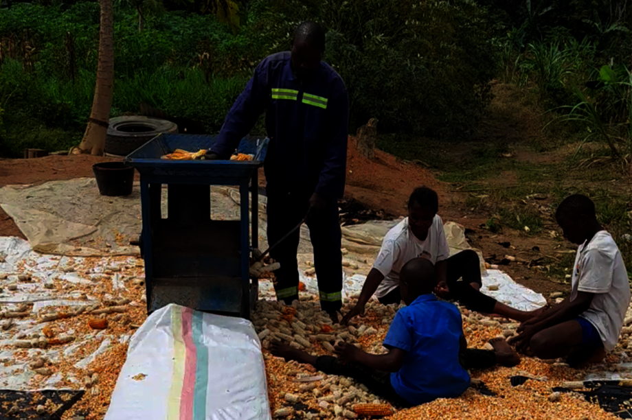 Agri-Business as Income bolster For IDPs Cameroon