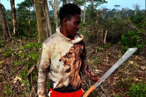 Agri-Business as Income bolster For IDPs Cameroon
