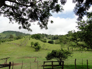 View of the Villalobos pastures