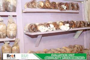 Mushroom Farming of Cohort 1 Beneficiary