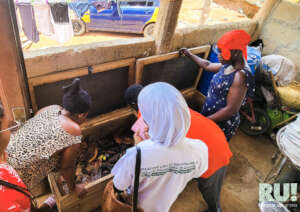 Beneficiaries in snail farming