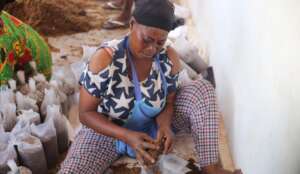 Beneficiaries working on mushroom production