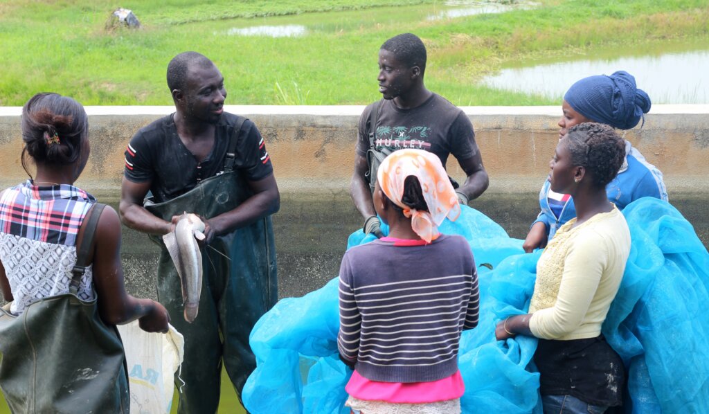 Support Rural Women Start & Grow Green Businesses