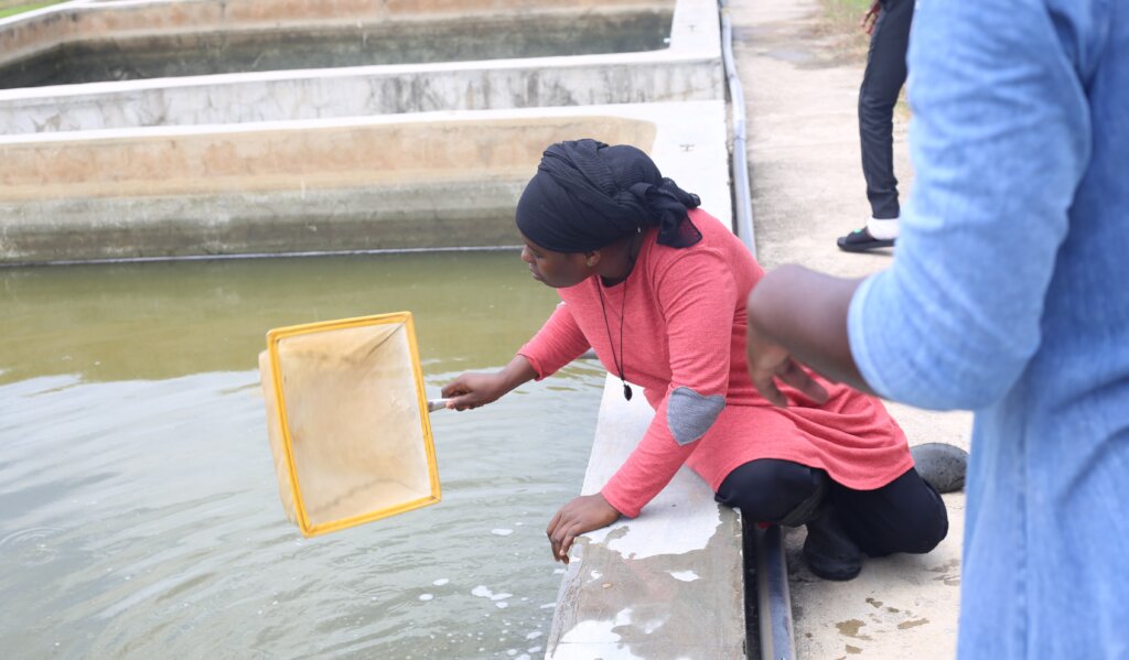 Support Rural Women Start & Grow Green Businesses