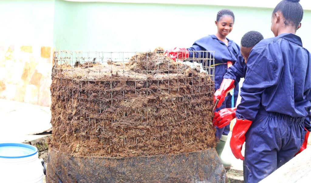 Support Rural Women Start & Grow Green Businesses