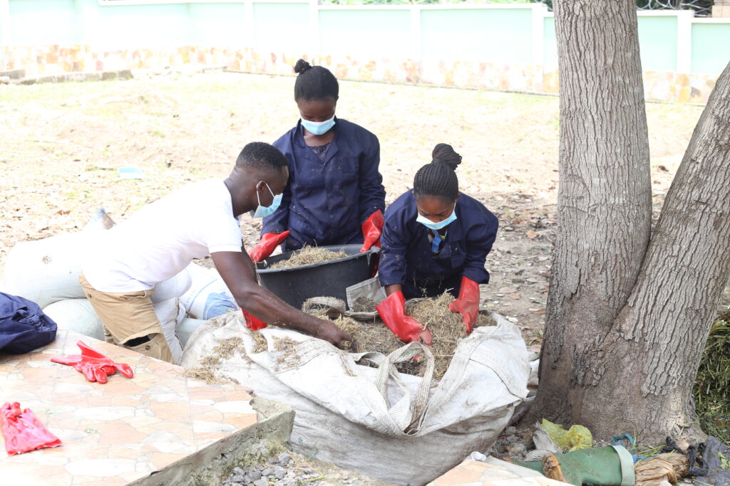 Empower 50 rural women grow green businesses