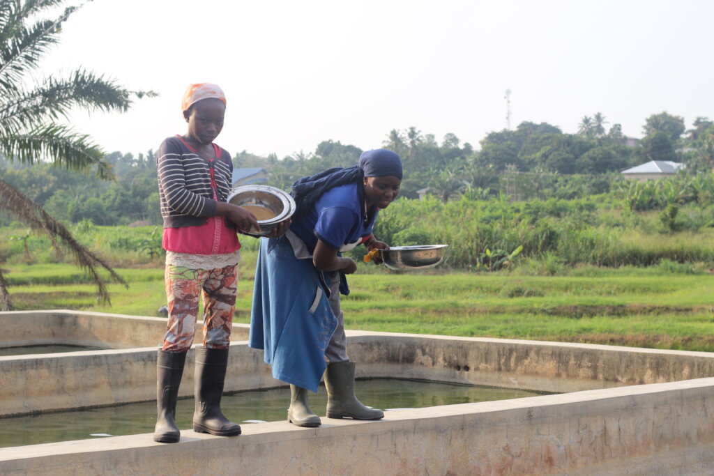 Empower 50 rural women grow green businesses
