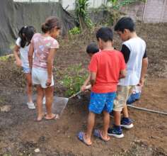 The lemon tree needs water, but so do your feet!