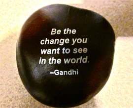 One of Our Sea Bean Seeds