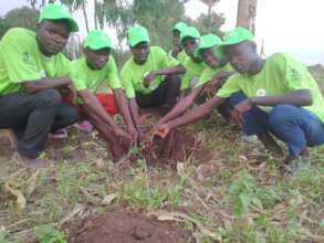 Plant a Tree for 75 Cents