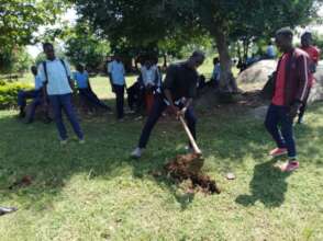 Restore ecosystems, enhance biodiversity,