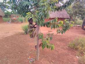 Justice to orphans, hungry, nothing to eat