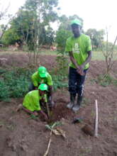 Youth Coordinator Peter, Tree planting volunteers