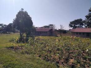 Poor farming methods, destroy our planet