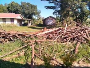 Stop cutting trees, save our environment