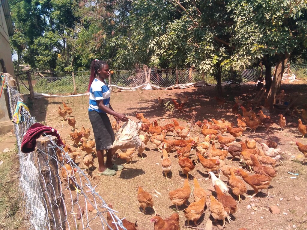 Poultry farm were also affected, lacked clean wate