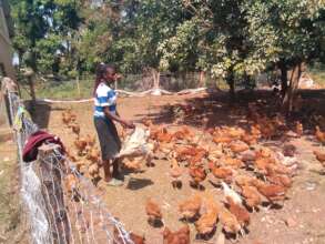 Poultry farm were also affected, lacked clean wate