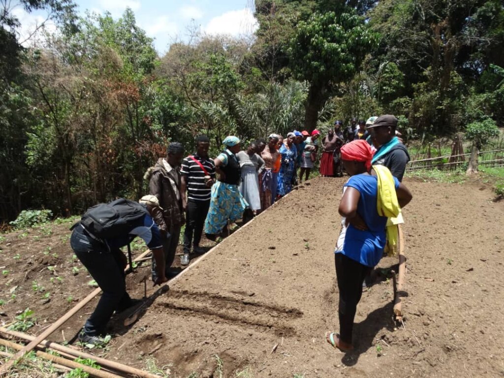 Empower 10,000 Victims of Violence in Cameroon.