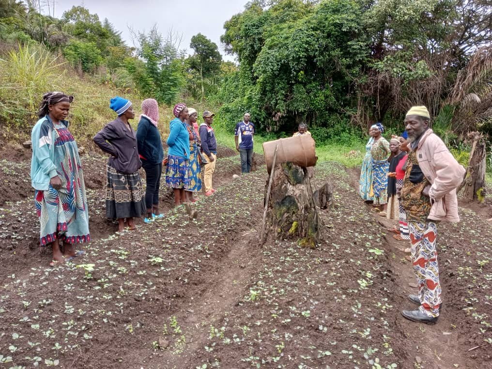 Empower 10,000 Victims of Violence in Cameroon.