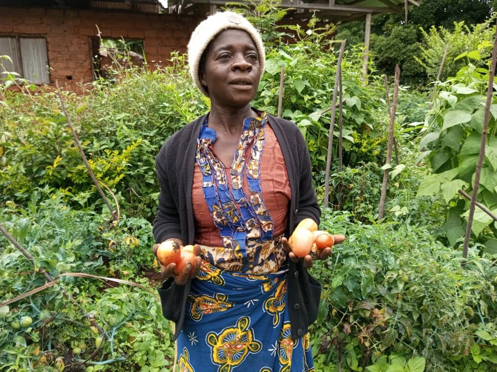 Empower 10,000 Victims of Violence in Cameroon.