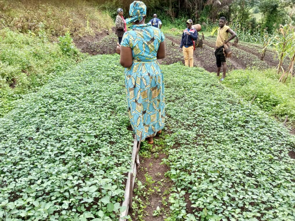 Empower 10,000 Victims of Violence in Cameroon.