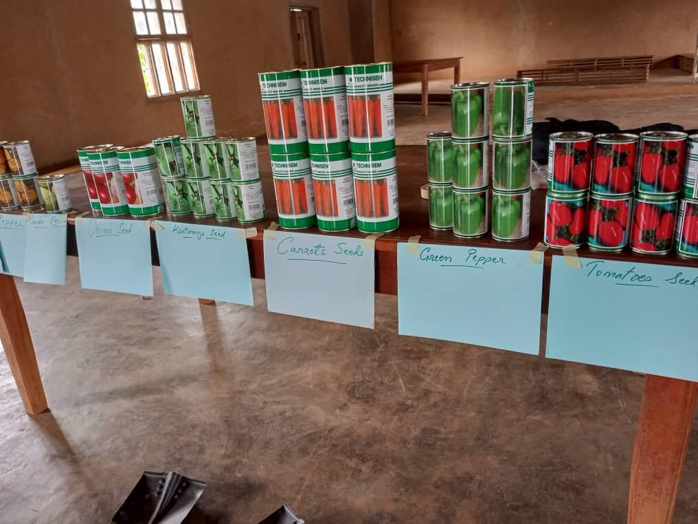 Empower 10,000 Victims of Violence in Cameroon.