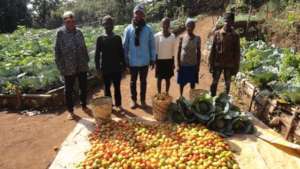Promoting family gardening.