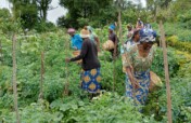 Empower 10,000 Victims of Violence in Cameroon.