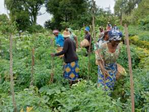 Empower 10,000 Victims of Violence in Cameroon.