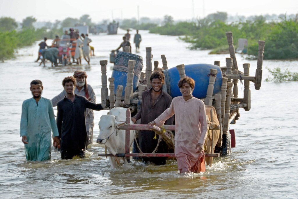 Lets Help to Flood Effected People in Balochistan
