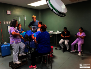 Clinical staff during training