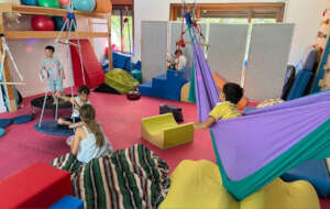 Occupational Therapy